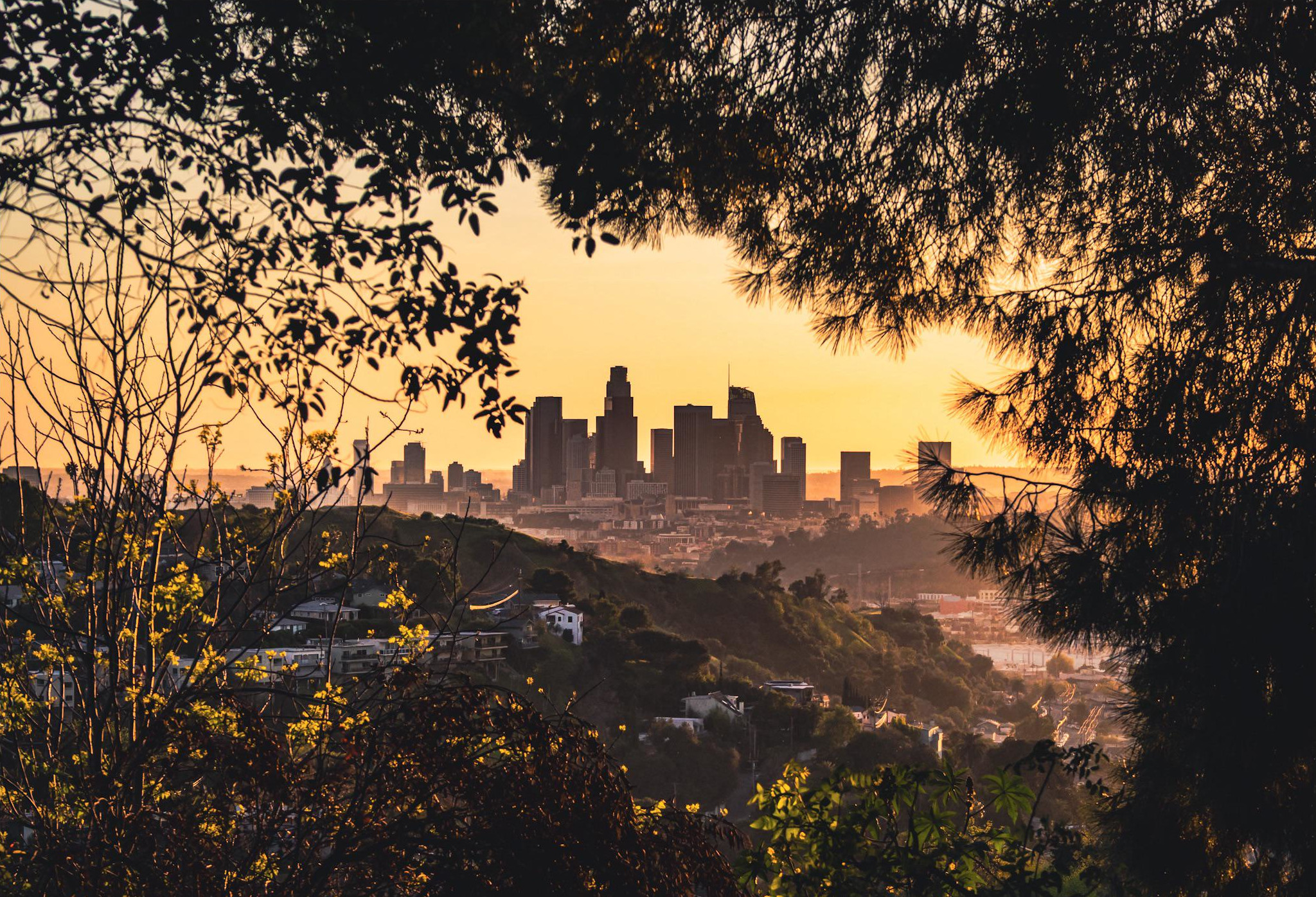Los Angeles with green space (used with permission by FATBLINE on reddit)